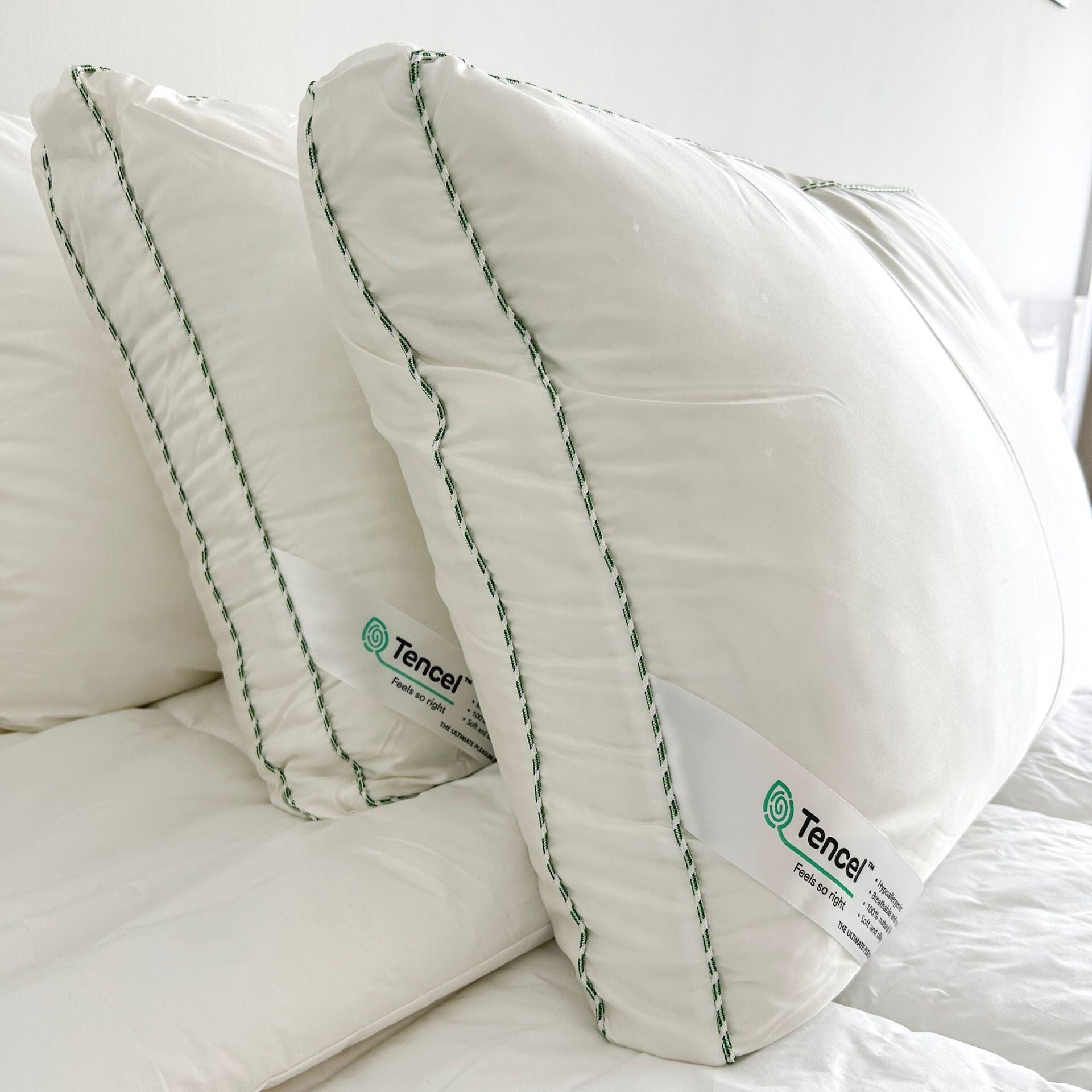 Tencel Duvet + 2 Tencel Microgel Pillow Bundle