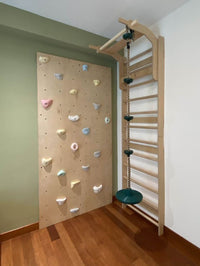 Wolba Climbing Wall with Resin Holds