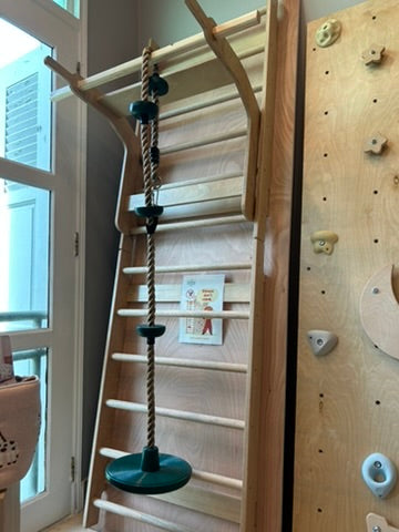 Wolba Wall Ladder & Pull Up Attachment