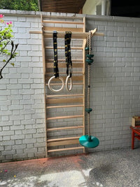 Wolba Wall Ladder & Pull Up Attachment