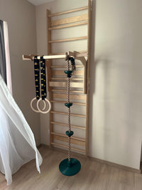 Wolba Wall Ladder & Pull Up Attachment