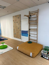 Wolba Wall Ladder & Pull Up Attachment