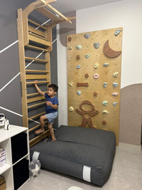 Wolba Climbing Wall with Resin Holds