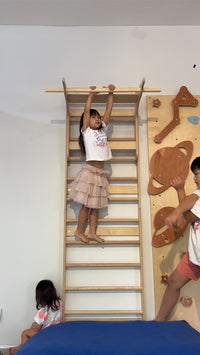 Wolba Wall Ladder & Pull Up Attachment