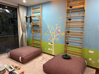 Wolba Wall Ladder & Pull Up Attachment