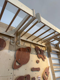 Kelimba Climbing Wall with 20 x Standard Resin Holds