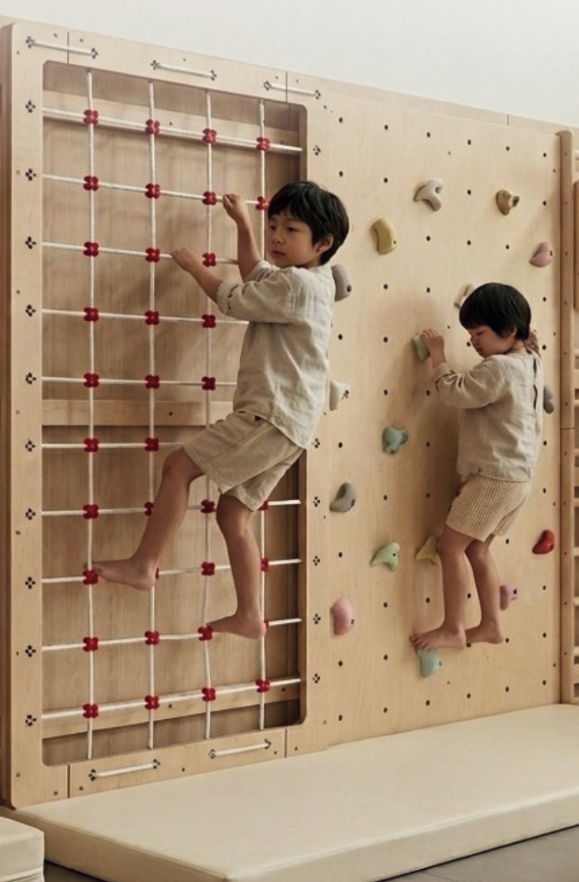Wolnet Climbing Net Panel