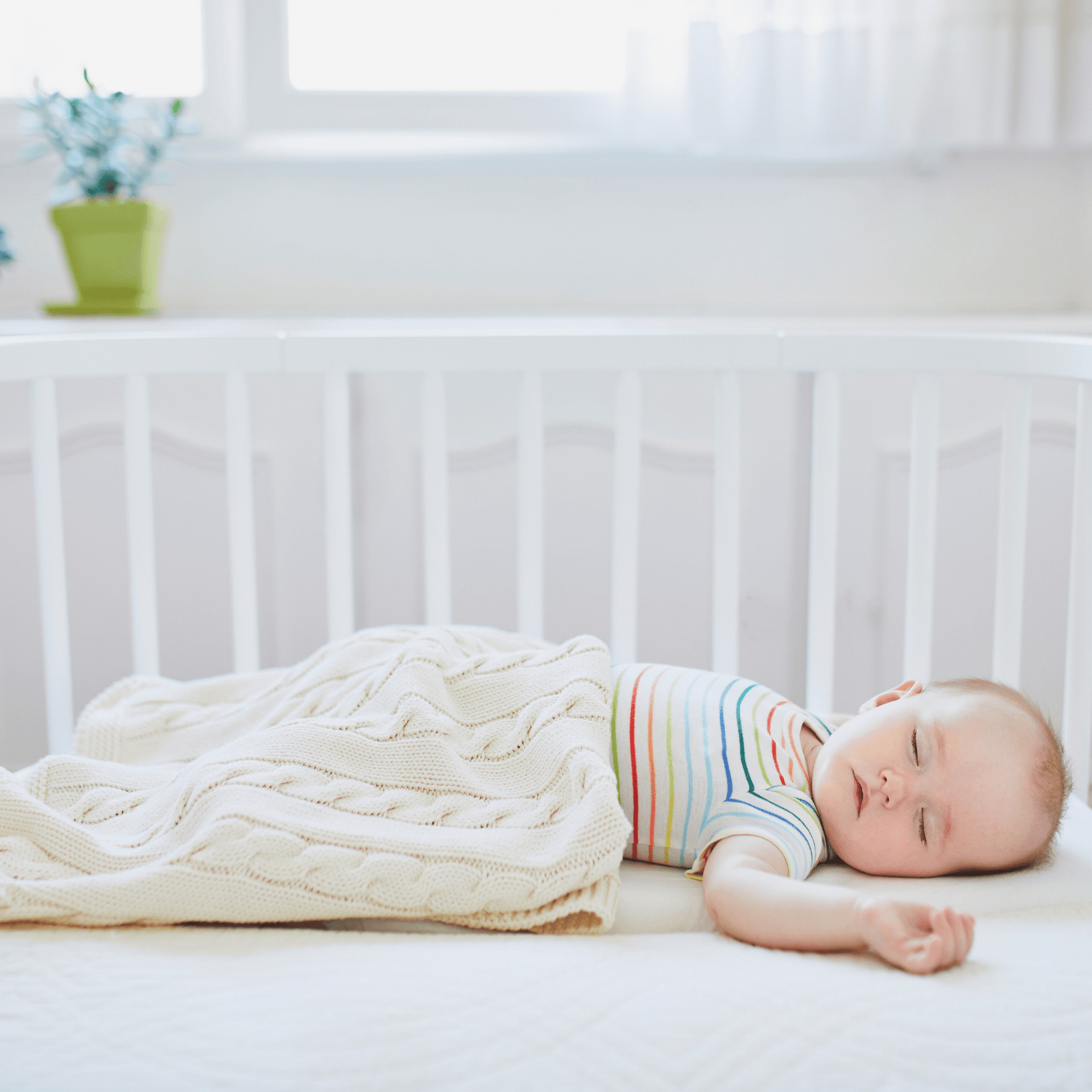 Sealy Little Dreamers Baby Cot Mattress