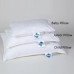 Core Kids Junior Pillow Set (1-3 years old)